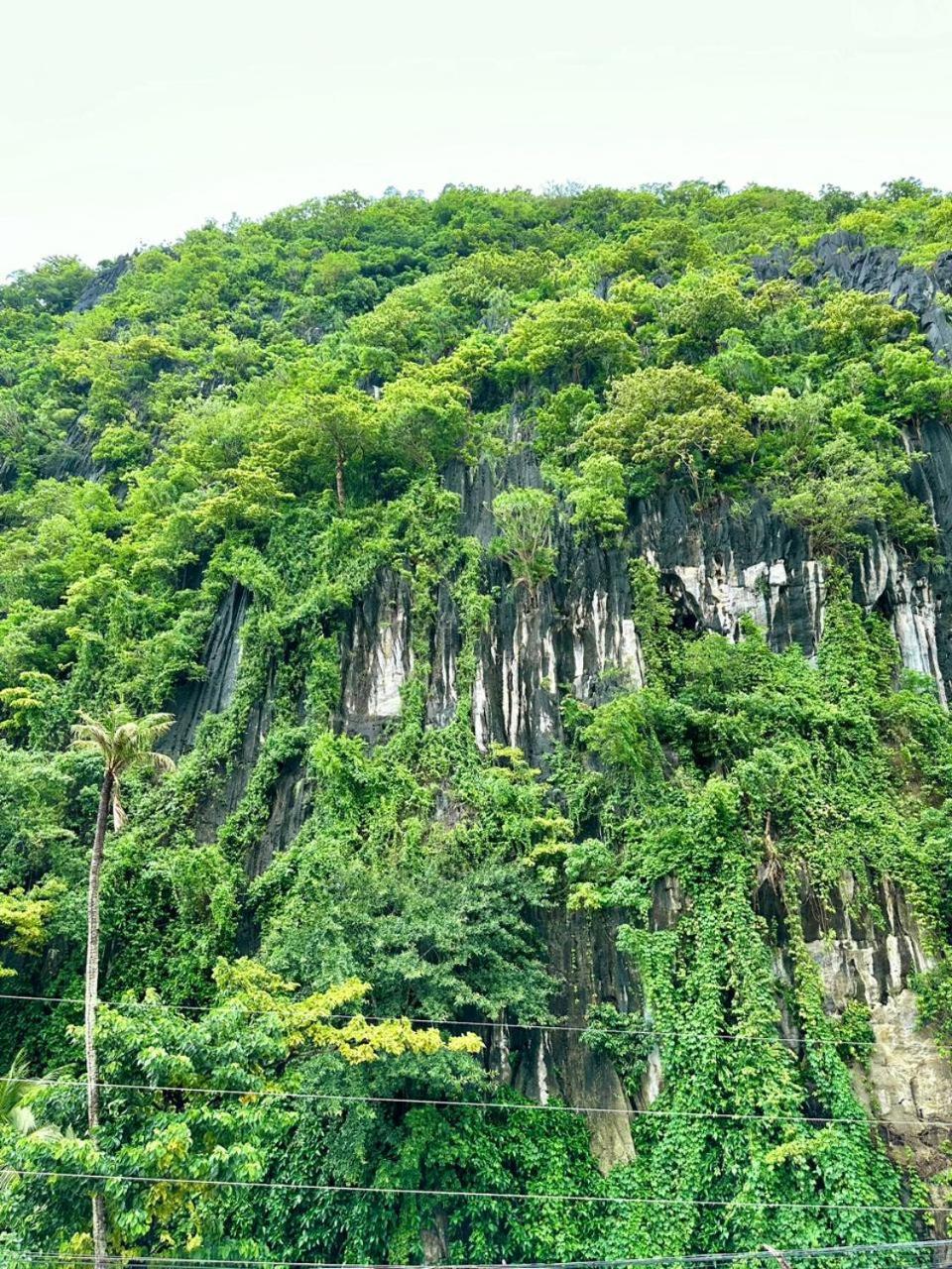 Mayad El Nido Inn 외부 사진