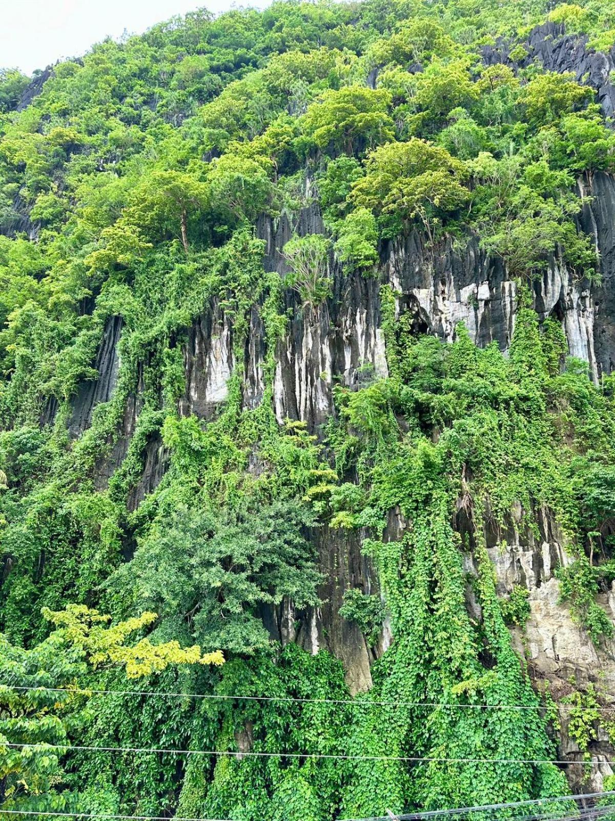 Mayad El Nido Inn 외부 사진
